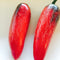 Jalapeno Conchos